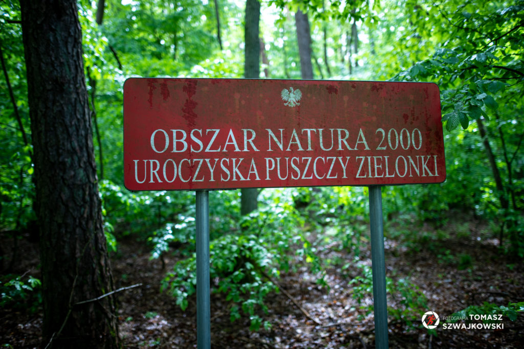 Obszar Natura 2000

Uroczyska Puszczy Zielonki