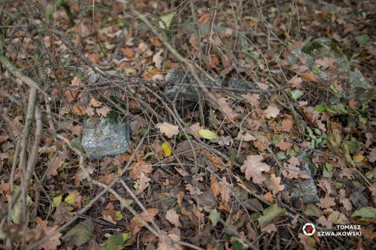 mapawielkopolski20211031 122 768x512