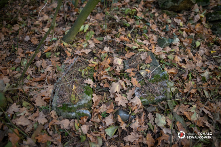 mapawielkopolski20211031 124 768x512