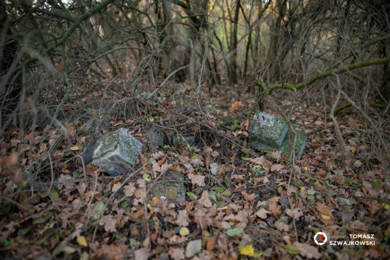 mapawielkopolski20211031 125 768x512