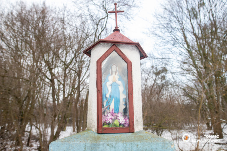 naszazielonka 12 768x512