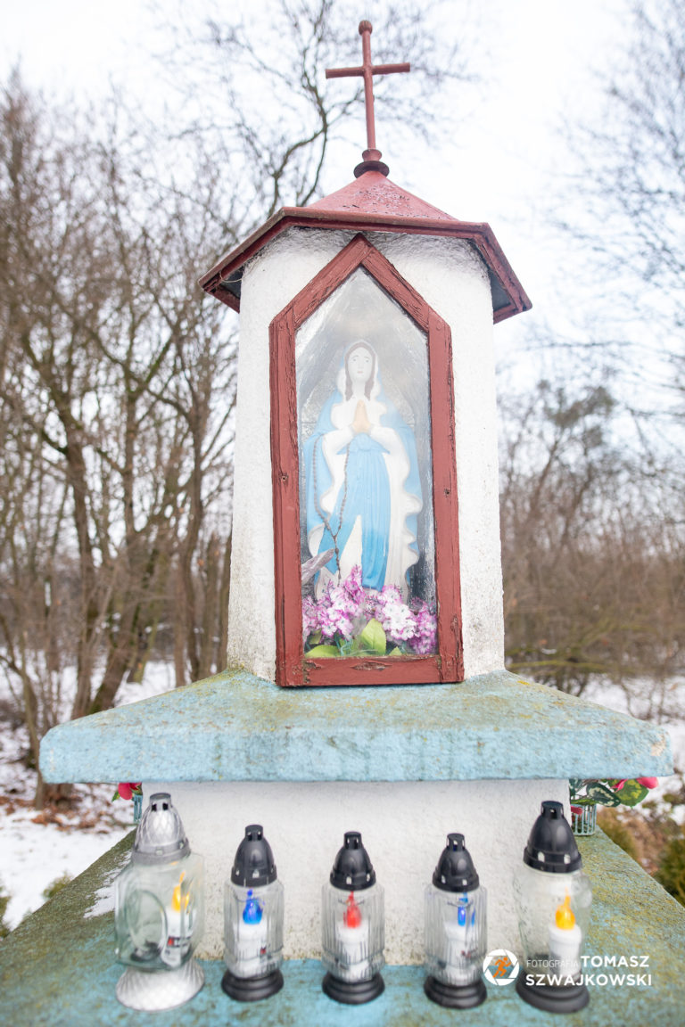 naszazielonka 13 768x1152