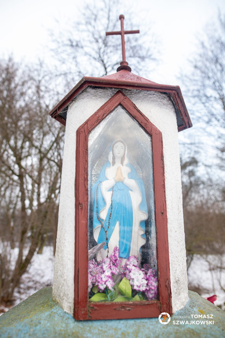 naszazielonka 14 768x1152