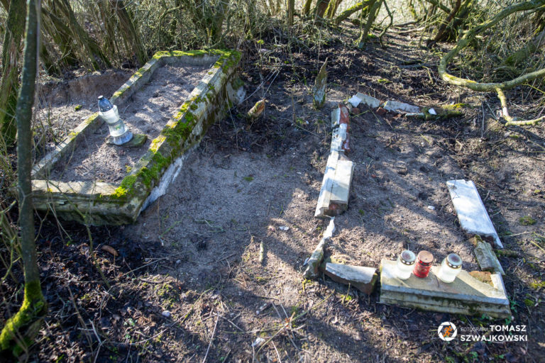 naszazielonka20220213 11 768x512