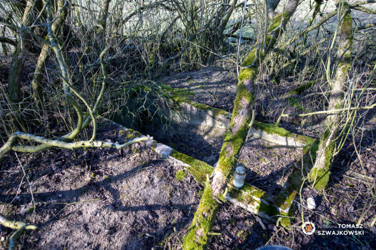 naszazielonka20220213 12 768x512