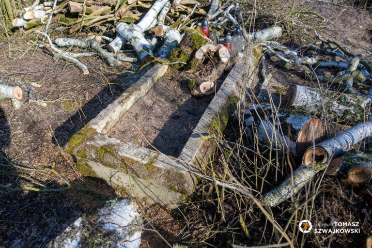 naszazielonka20220213 13 768x512