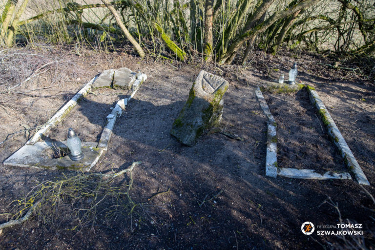 naszazielonka20220213 14 768x512