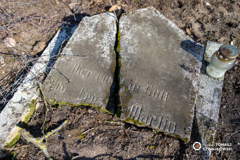 naszazielonka20220213 15 768x512