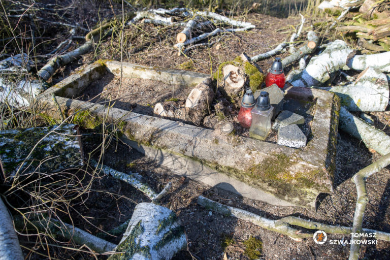 naszazielonka20220213 17 768x512