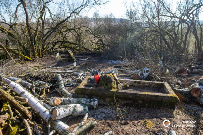 naszazielonka20220213 18 768x512